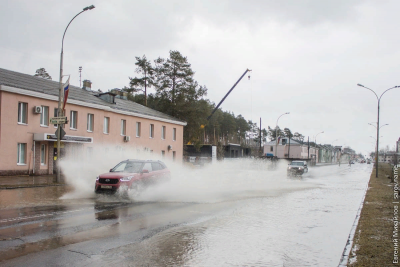 загруженное (1).png